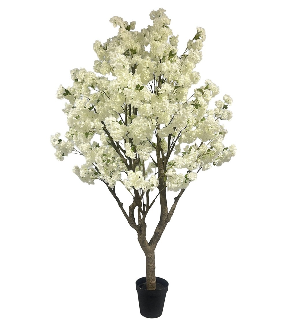 Arbol almendro blanco 250 cm