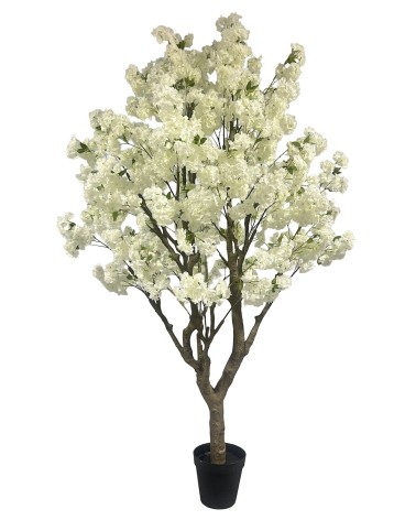 Arbol almendro blanco 250 cm