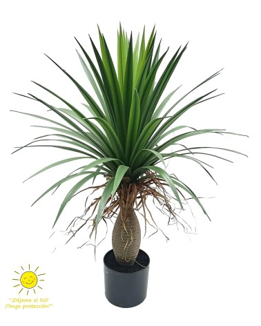 Yuca 85 cm exterior