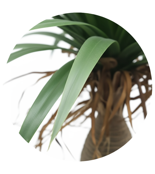 YUCA 85 CM EXTERIOR en Plantas artificiales