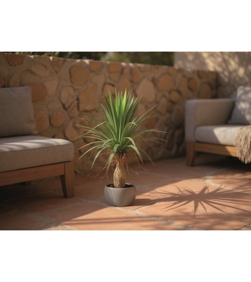 YUCA 85 CM EXTERIOR en Plantas artificiales