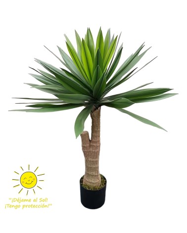 Yuca 95 cm exterior
