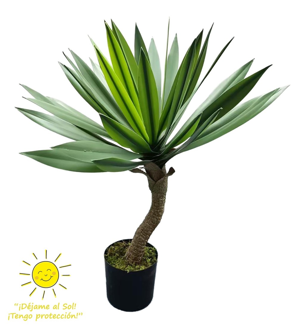 Yuca 67 cm exterior
