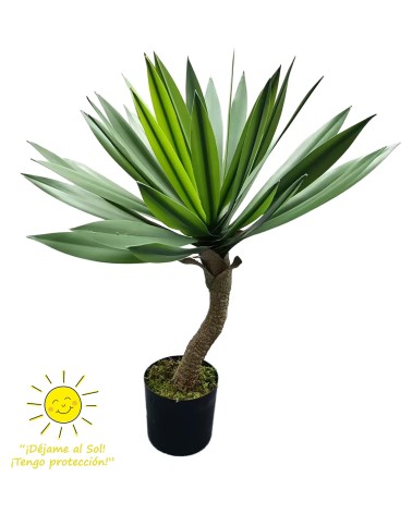 Yuca 67 cm exterior