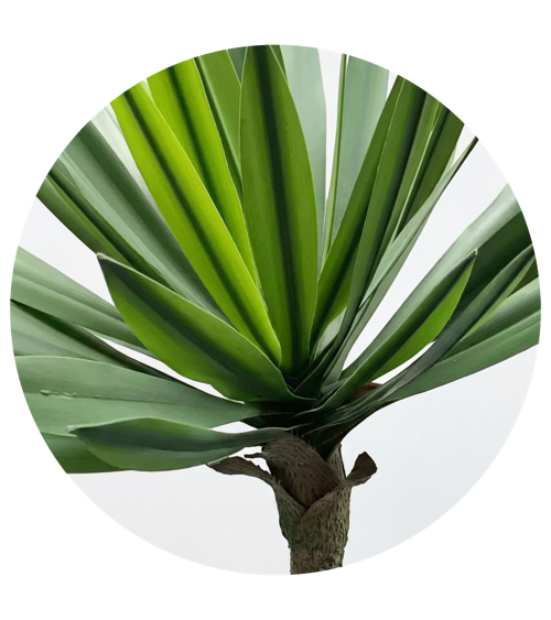 YUCA 67 CM EXTERIOR en Plantas artificiales