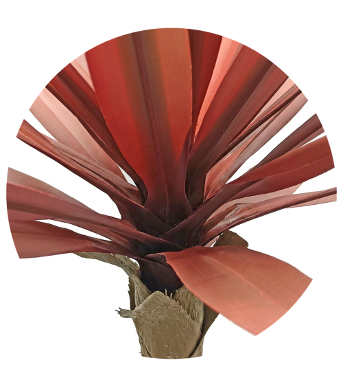 YUCA 67 CM ROJIZO EXTERIOR en Plantas artificiales