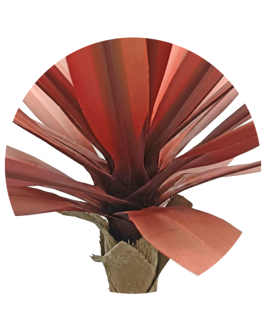 YUCA 67 CM ROJIZO EXTERIOR en Plantas artificiales