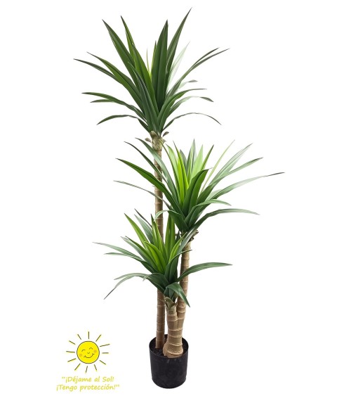 Yuca 170 cm exterior