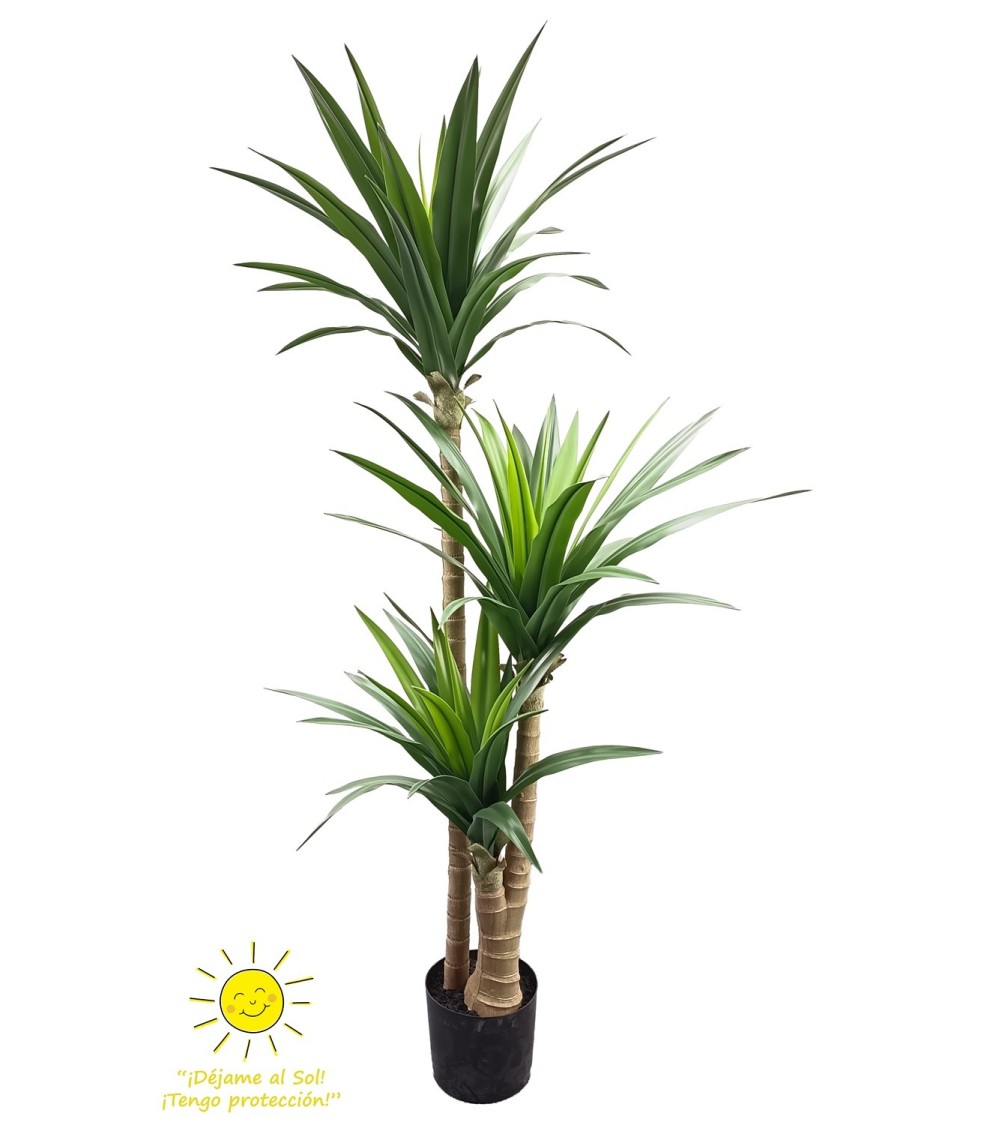 Yuca 170 cm exterior