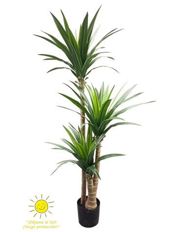 Yuca 170 cm exterior