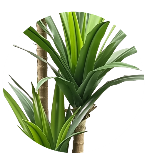 YUCA 170 CM EXTERIOR en Plantas artificiales