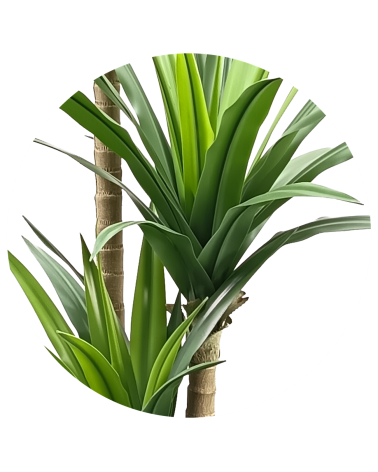 YUCA 170 CM EXTERIOR en Plantas artificiales