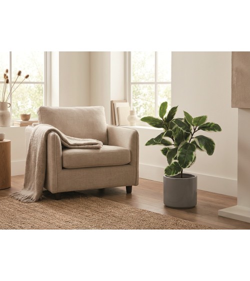 FICUS BICOLOR 75 CM en Plantas artificiales