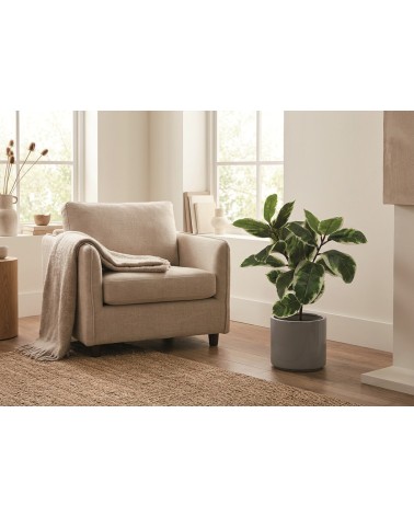 FICUS BICOLOR 75 CM en Plantas artificiales