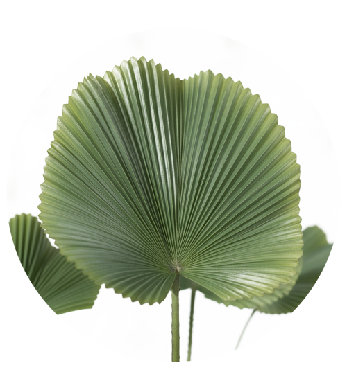 ARBOL LICUALA 110 CM en Plantas artificiales