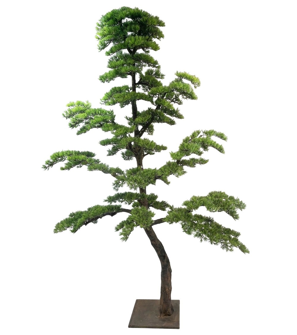 Bonsai 240 cm