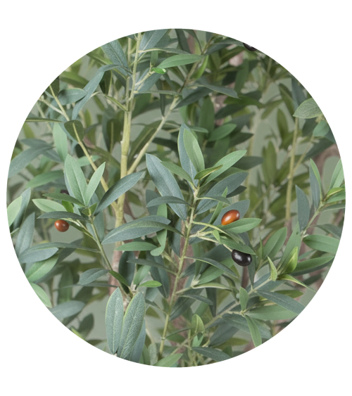 OLIVO EXTERIOR 215 CM en Plantas artificiales