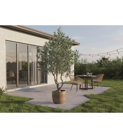 OLIVO EXTERIOR 215 CM en Plantas artificiales
