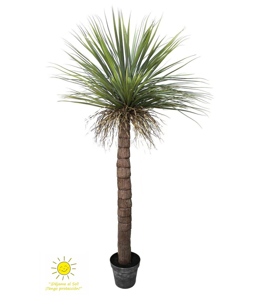 Yuca exterior 190 cm
