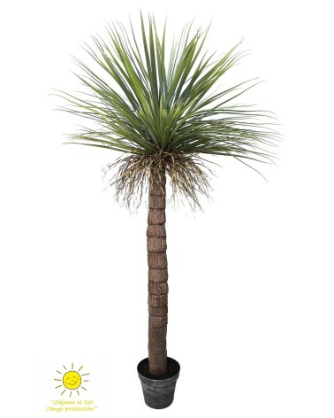 Yuca exterior 190 cm