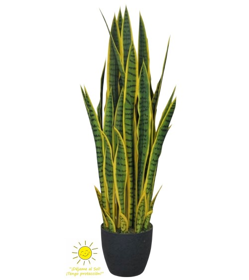 Sansiveria exterior 97 cm.