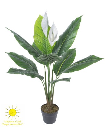 Espatifilio blanco exterior 90 cm