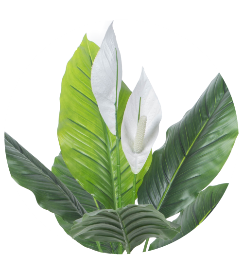 ESPATIFILIO BLANCO EXTERIOR 90 CM en Plantas artificiales