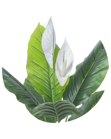 ESPATIFILIO BLANCO EXTERIOR 90 CM en Plantas artificiales