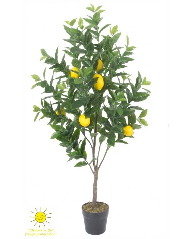Limonero exterior 125 cm