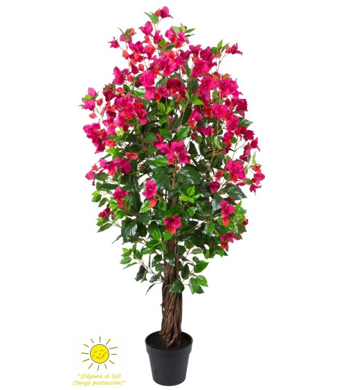 Bouganvilla exterior 150 cm