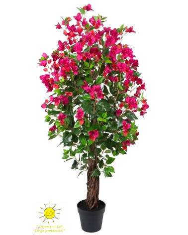 Bouganvilla exterior 150 cm