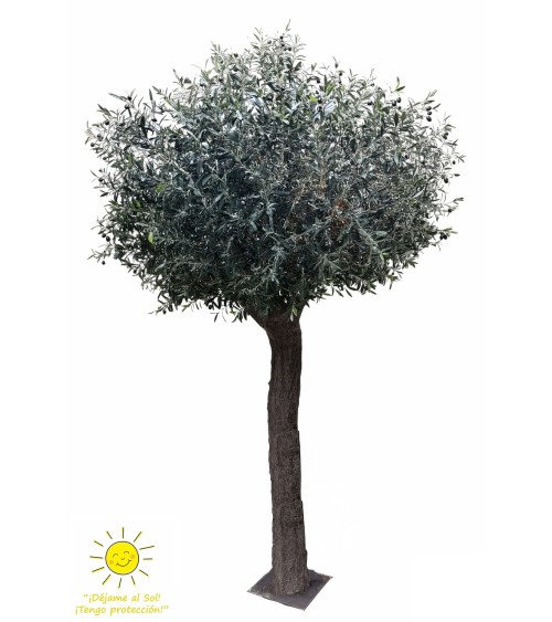 Olivo 400 cm exterior