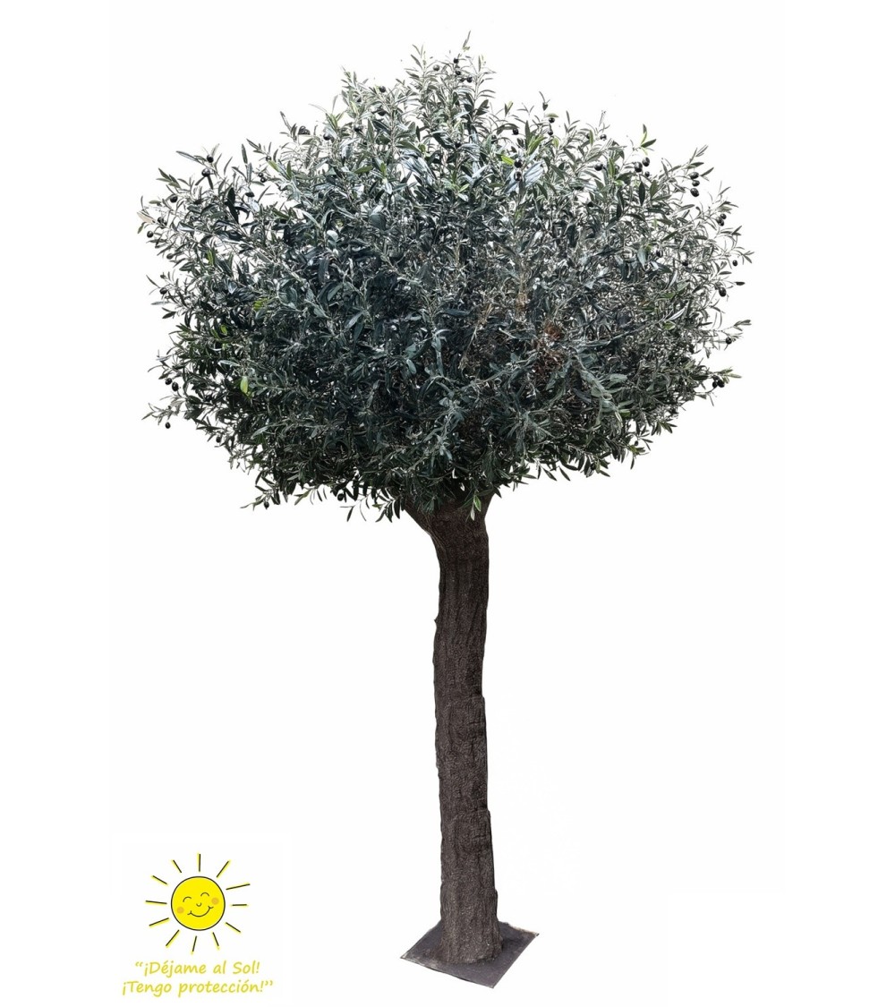 Olivo 400 cm exterior