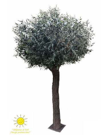 Olivo 400 cm exterior
