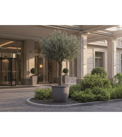 OLIVO 400 CM EXTERIOR en Plantas artificiales