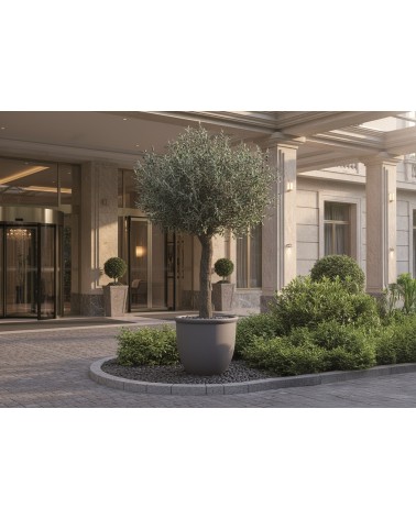 OLIVO 400 CM EXTERIOR en Plantas artificiales