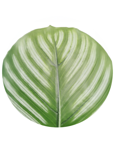 MACETA CALATHEA VERDE 70 CM en Plantas artificiales