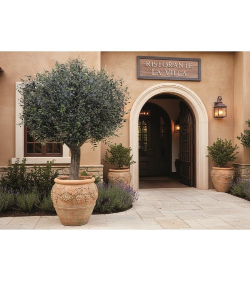 OLIVO VALLE DEL JERTE 300 CM EXTERIOR en Plantas artificiales