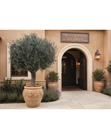 OLIVO VALLE DEL JERTE 300 CM EXTERIOR en Plantas artificiales