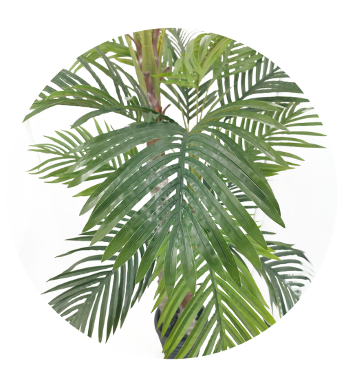 ARBOL PALMERA 3 TRONCOS 220 CM en Plantas artificiales