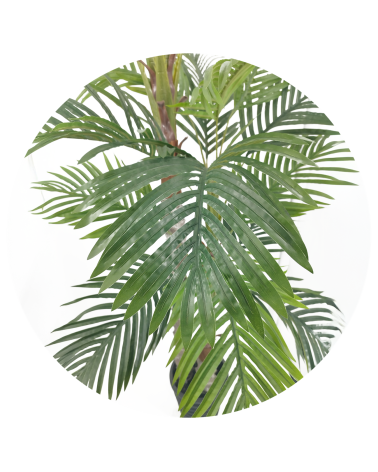 ARBOL PALMERA 3 TRONCOS 220 CM en Plantas artificiales